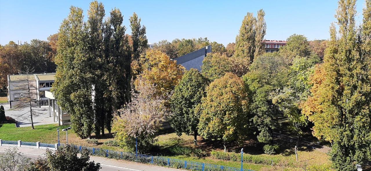 Apartment Student City, Wifi 300Mbs Belgrad Exterior foto